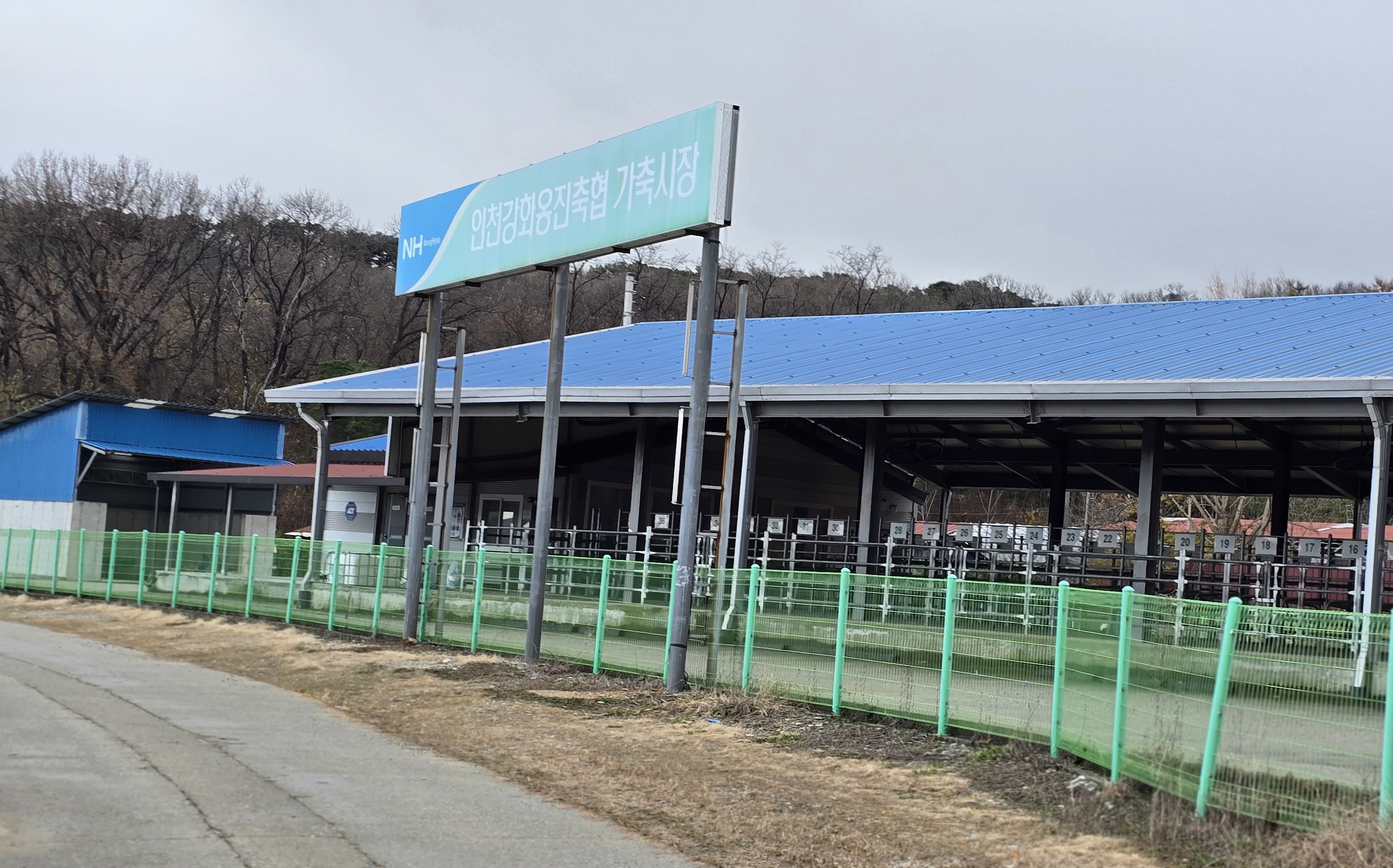 가축경매시장 사진